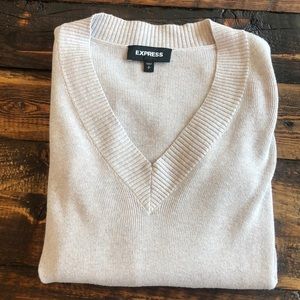 Express v-neck sweater